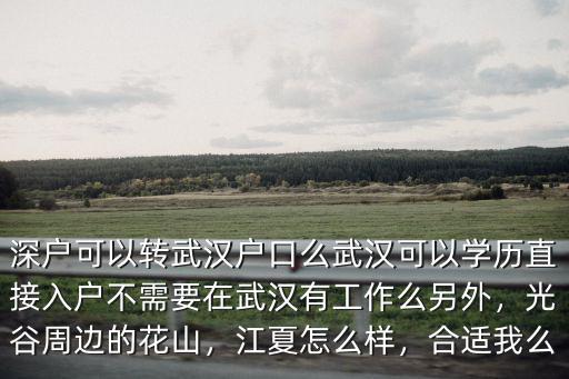 武漢學歷入戶 不在武漢工作怎么辦,不需要在武漢有工作么