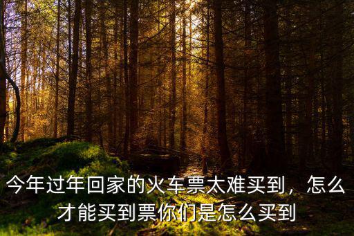 深圳到漯河的票怎么這么難買,怎么才能買到票