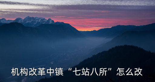 機構改革中鎮“七站八所”怎么改