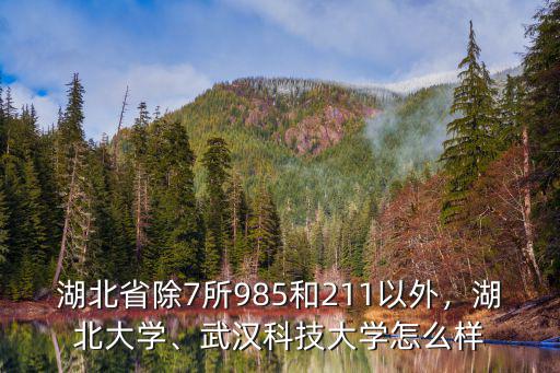 湖北省除7所985和211以外，湖北大學、武漢科技大學怎么樣