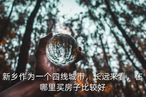 新鄉作為一個四線城市，長遠來看，在哪里買房子比較好