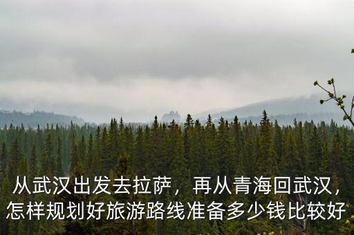 從武漢出發去拉薩，再從青海回武漢，怎樣規劃好旅游路線準備多少錢比較好