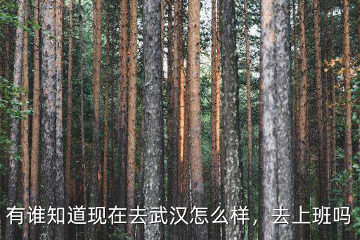 有誰知道現(xiàn)在去武漢怎么樣，去上班嗎