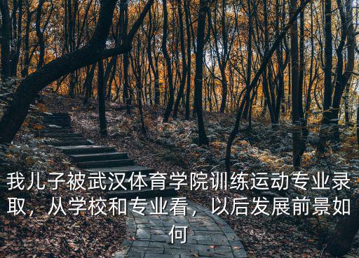 我兒子被武漢體育學院訓練運動專業錄取，從學校和專業看，以后發展前景如何