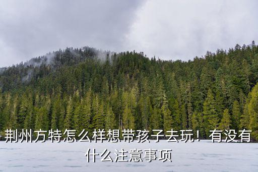 荊州方特怎么樣想帶孩子去玩！有沒有什么注意事項