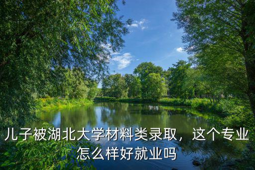 兒子被湖北大學材料類錄取，這個專業怎么樣好就業嗎
