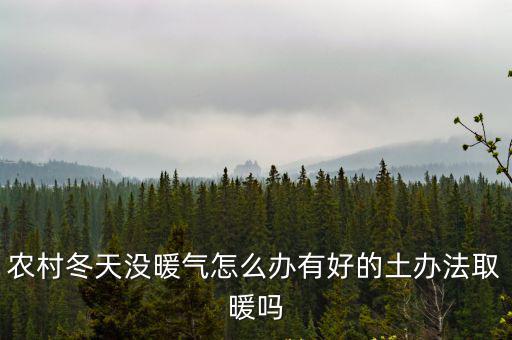 農村冬天沒暖氣怎么辦有好的土辦法取暖嗎