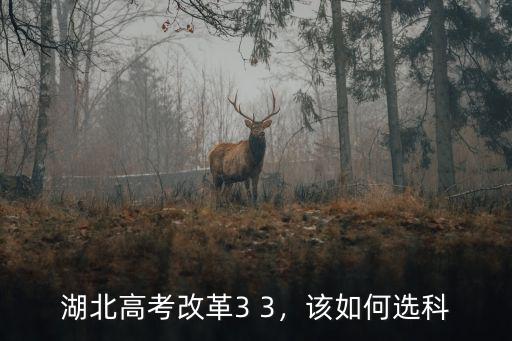 湖北高考怎么選課,湖北高考改革3 3