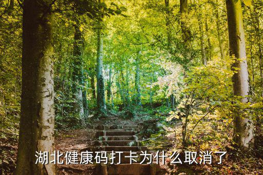 湖北健康碼打卡為什么取消了