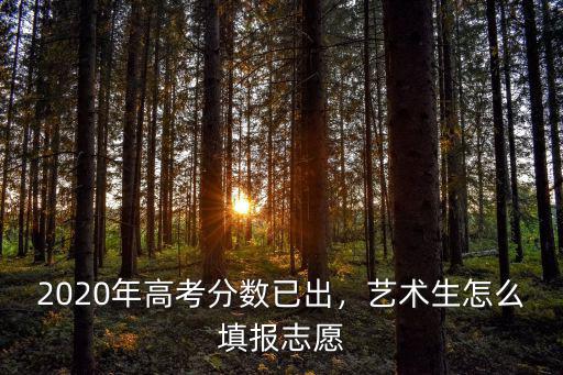 湖北省編導(dǎo)藝術(shù)生高考志愿怎么填,藝術(shù)生怎么填報志愿