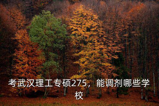 考武漢理工專碩275，能調劑哪些學校