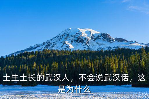 土生土長(zhǎng)的武漢人，不會(huì)說武漢話，這是為什么