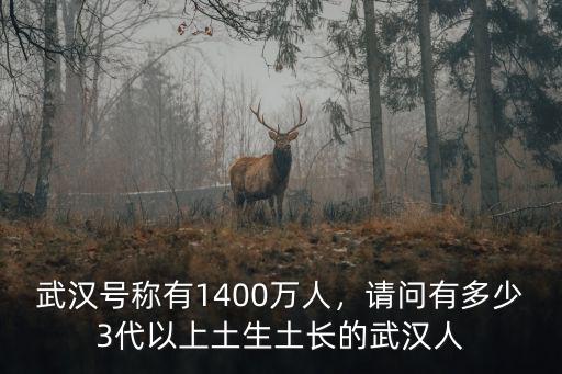 武漢號稱有1400萬人，請問有多少3代以上土生土長的武漢人