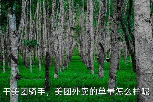 干美團騎手，美團外賣的單量怎么樣呢