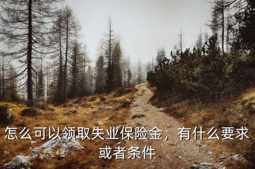 咸寧市失業保險金怎么領取,怎么可以領取失業保險金