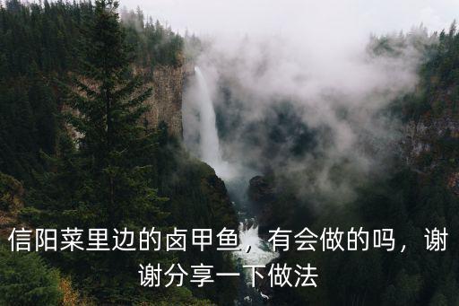 信陽鹵鍋怎么做,東北的打鹵面怎么做