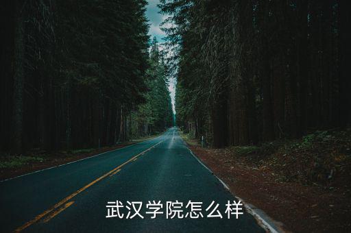 武漢足博士國旅公司怎么樣,武漢小米公司待遇怎么樣