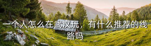 一個人怎么在武漢玩，有什么推薦的線路嗎