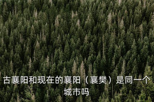 襄陽城怎么滅的,毫無保留的復(fù)制襄陽城