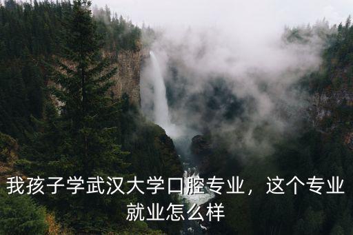 我孩子學武漢大學口腔專業(yè)，這個專業(yè)就業(yè)怎么樣