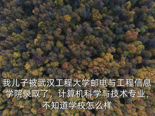 我兒子被武漢工程大學郵電與工程信息學院錄取了，計算機科學與技術專業，不知道學校怎么樣