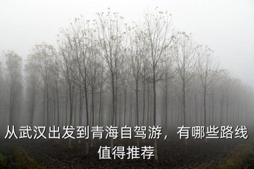 從武漢到青海怎么去,從武漢出發(fā)到青海自駕游