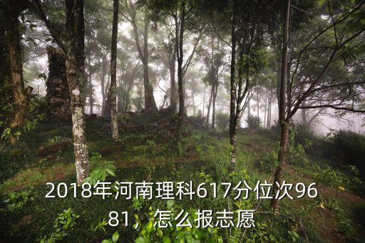 2018河南理科602分排多少名,河南高三理科學生