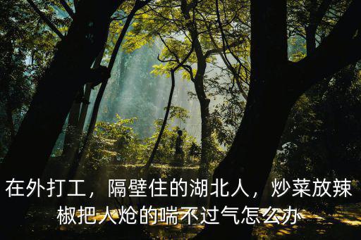 在外打工，隔壁住的湖北人，炒菜放辣椒把人熗的喘不過氣怎么辦