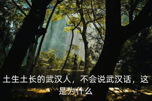 武漢話游泳怎么說,不會說武漢話
