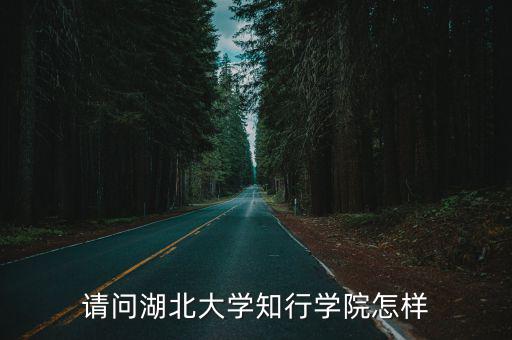 湖北大學李新平老師怎么樣,湖北大學怎么樣