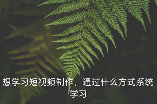 想學習短視頻制作，通過什么方式系統(tǒng)學習