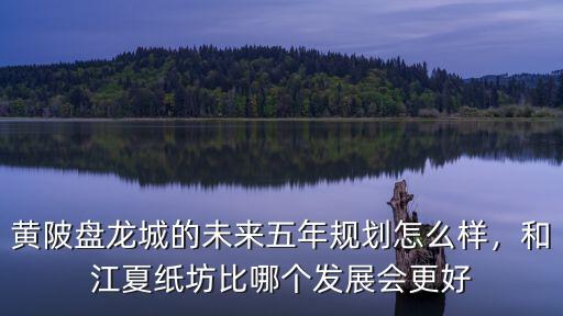 黃陂盤龍城的未來五年規劃怎么樣，和江夏紙坊比哪個發展會更好