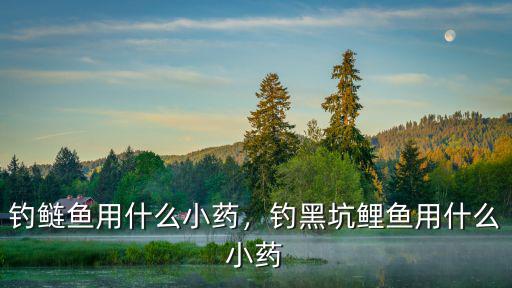 釣鰱魚用什么小藥，釣黑坑鯉魚用什么小藥