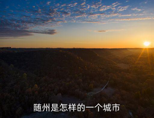 隨州印象怎么樣,湖北隨州怎么樣
