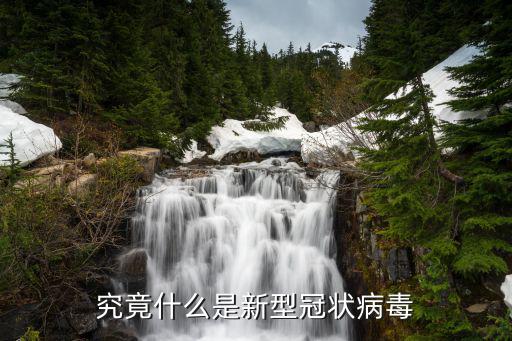 究竟什么是新型冠狀病毒