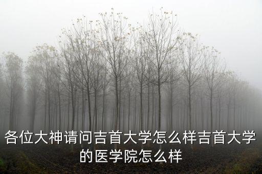 各位大神請問吉首大學怎么樣吉首大學的醫學院怎么樣