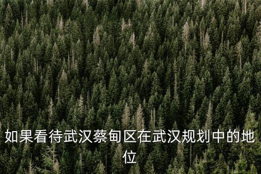 如果看待武漢蔡甸區在武漢規劃中的地位