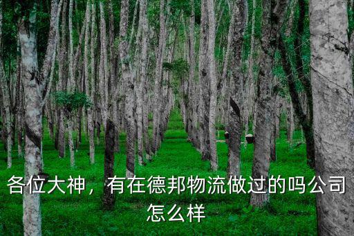各位大神，有在德邦物流做過的嗎公司怎么樣