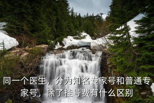 同一個醫(yī)生，分為知名專家號和普通專家號，除了掛號費有什么區(qū)別
