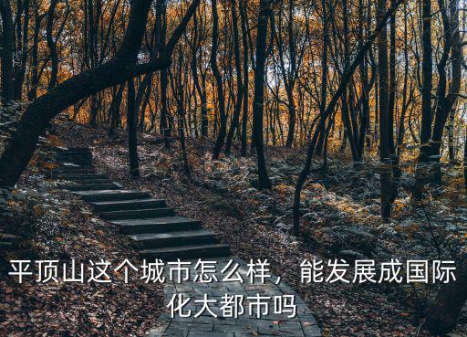 平頂山這個城市怎么樣，能發展成國際化大都市嗎
