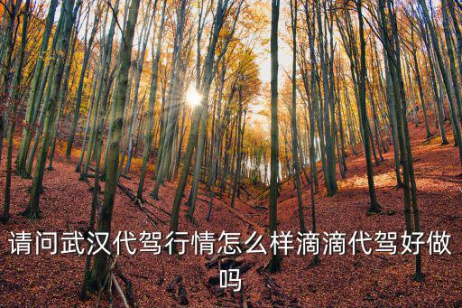 請問武漢代駕行情怎么樣滴滴代駕好做嗎