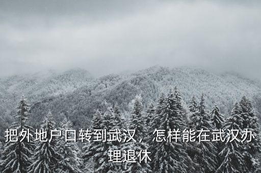把外地戶口轉(zhuǎn)到武漢，怎樣能在武漢辦理退休