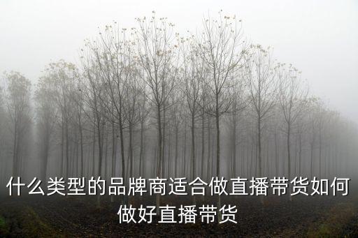 什么類型的品牌商適合做直播帶貨如何做好直播帶貨