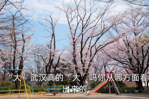 “大”武漢真的“大”嗎你從哪方面看出來的