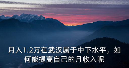 在武漢怎么能快速賺到錢,在武漢做什么賺錢
