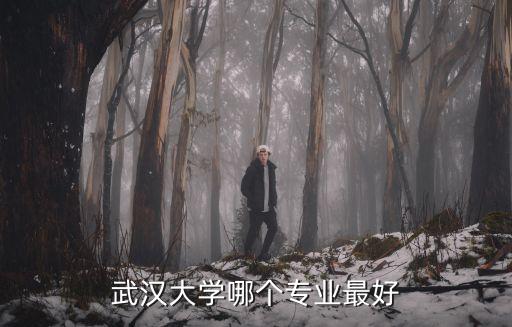 武漢大學哪個專業最好