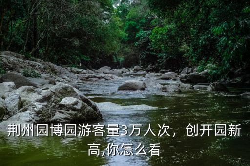 游覽荊州園博園作文怎么寫三百字,荊州園博園好玩嗎