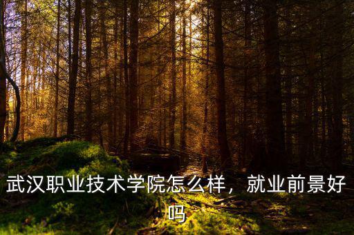 武漢職業技術學院怎么樣，就業前景好嗎