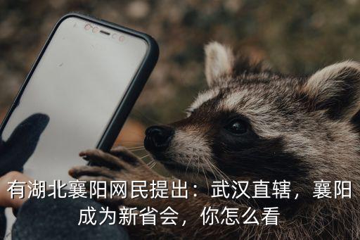 有湖北襄陽網民提出：武漢直轄，襄陽成為新省會，你怎么看