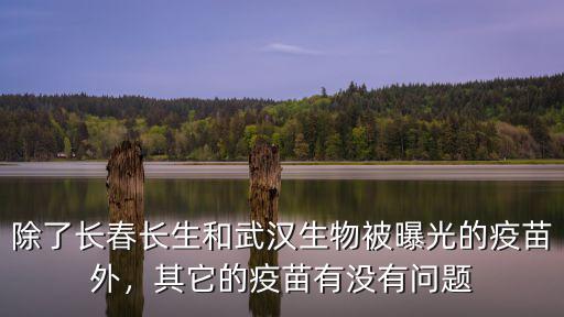 除了長春長生和武漢生物被曝光的疫苗外，其它的疫苗有沒有問題